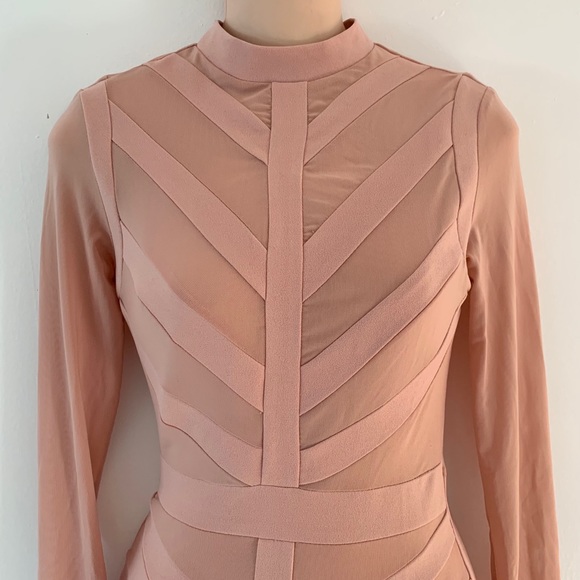 🎉 Sale New Windsor Mauve Pink Long Sleeve Mesh See Thru Dress - Picture 3 of 10